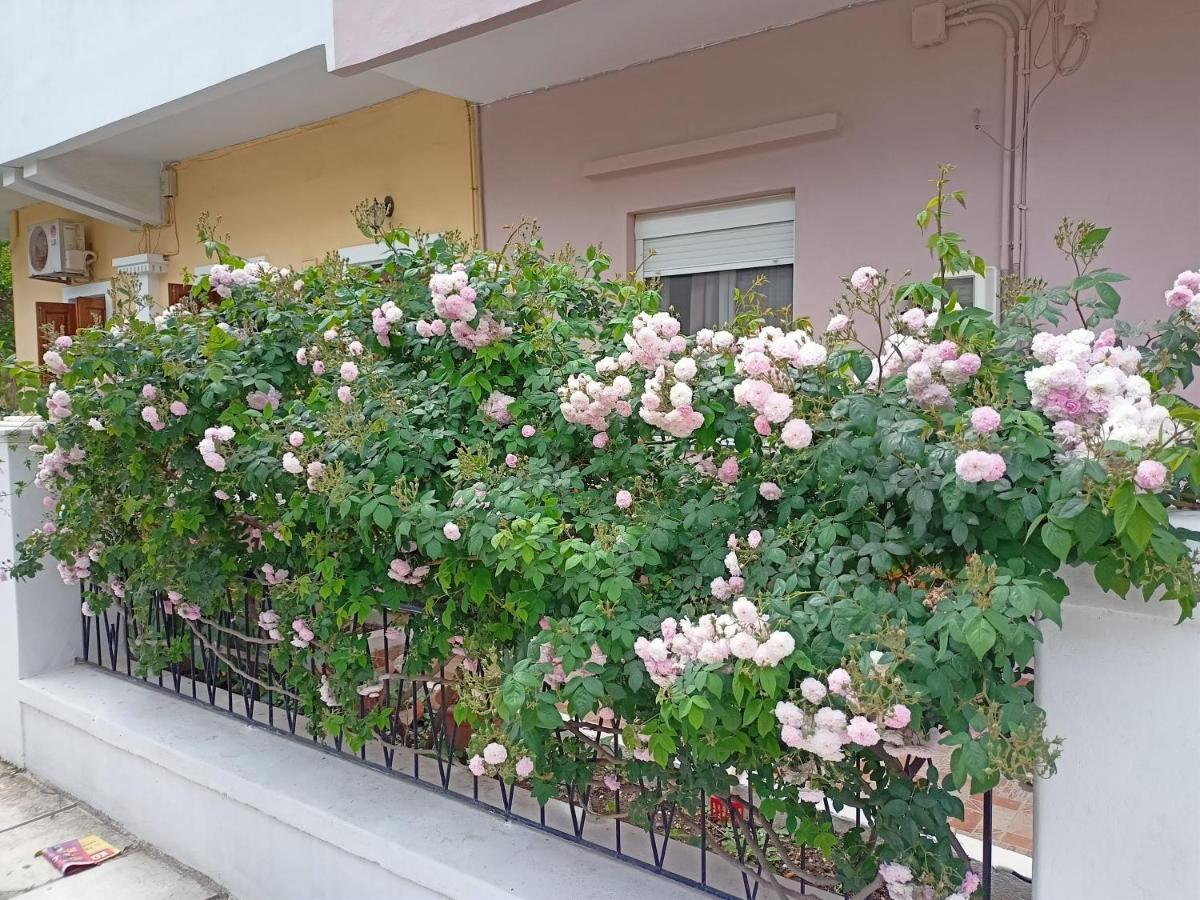 Family House Kos Down Town Apartment Exterior foto